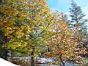 DSC01393.JPG