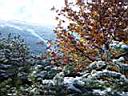 DSC01397.JPG