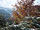 DSC01398.JPG