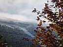 DSC01399.JPG
