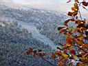 DSC01400.JPG